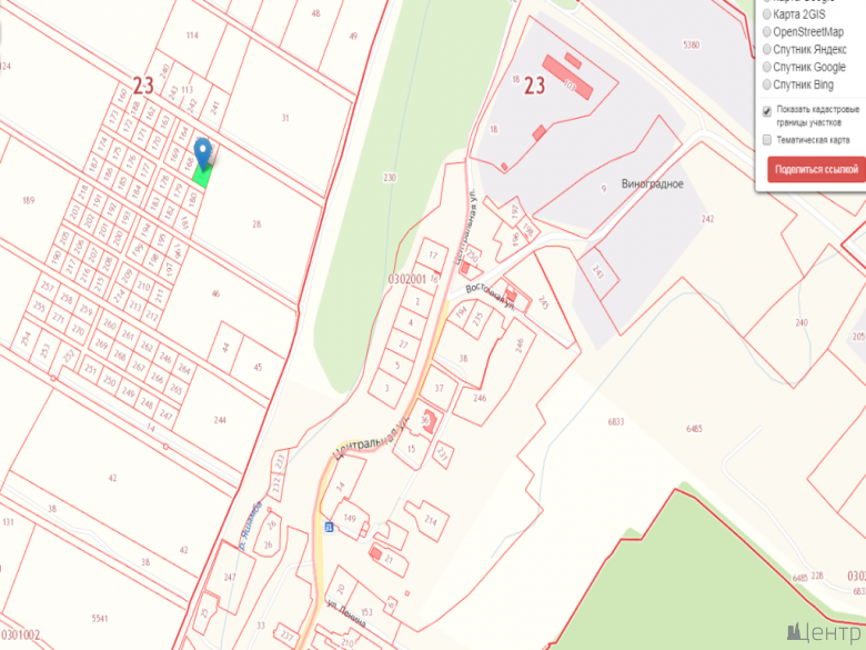 foto (2).png