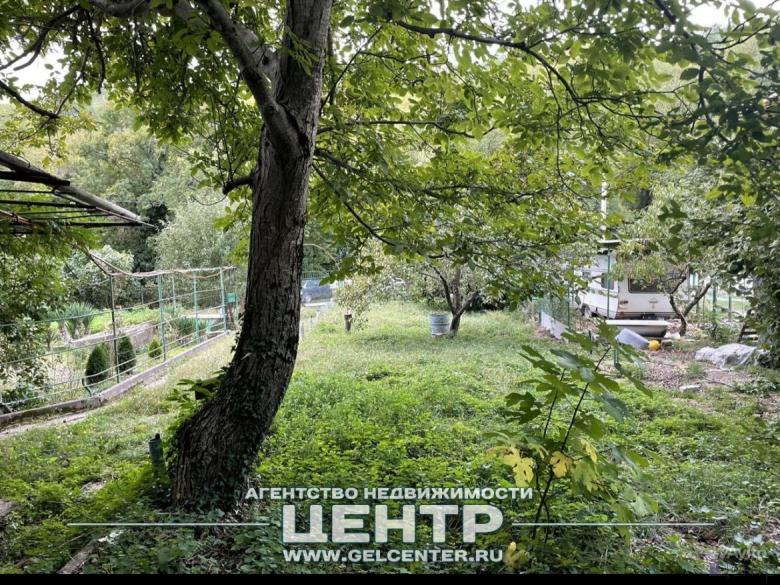 foto (10).jpg